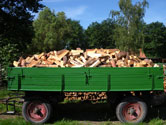 Holzlkw